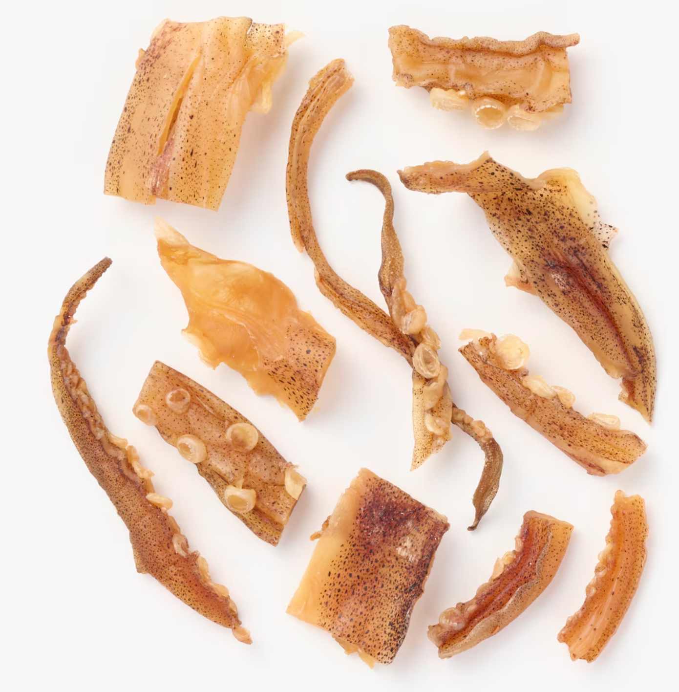 日本直送 Muji 無印良品 魷魚絲