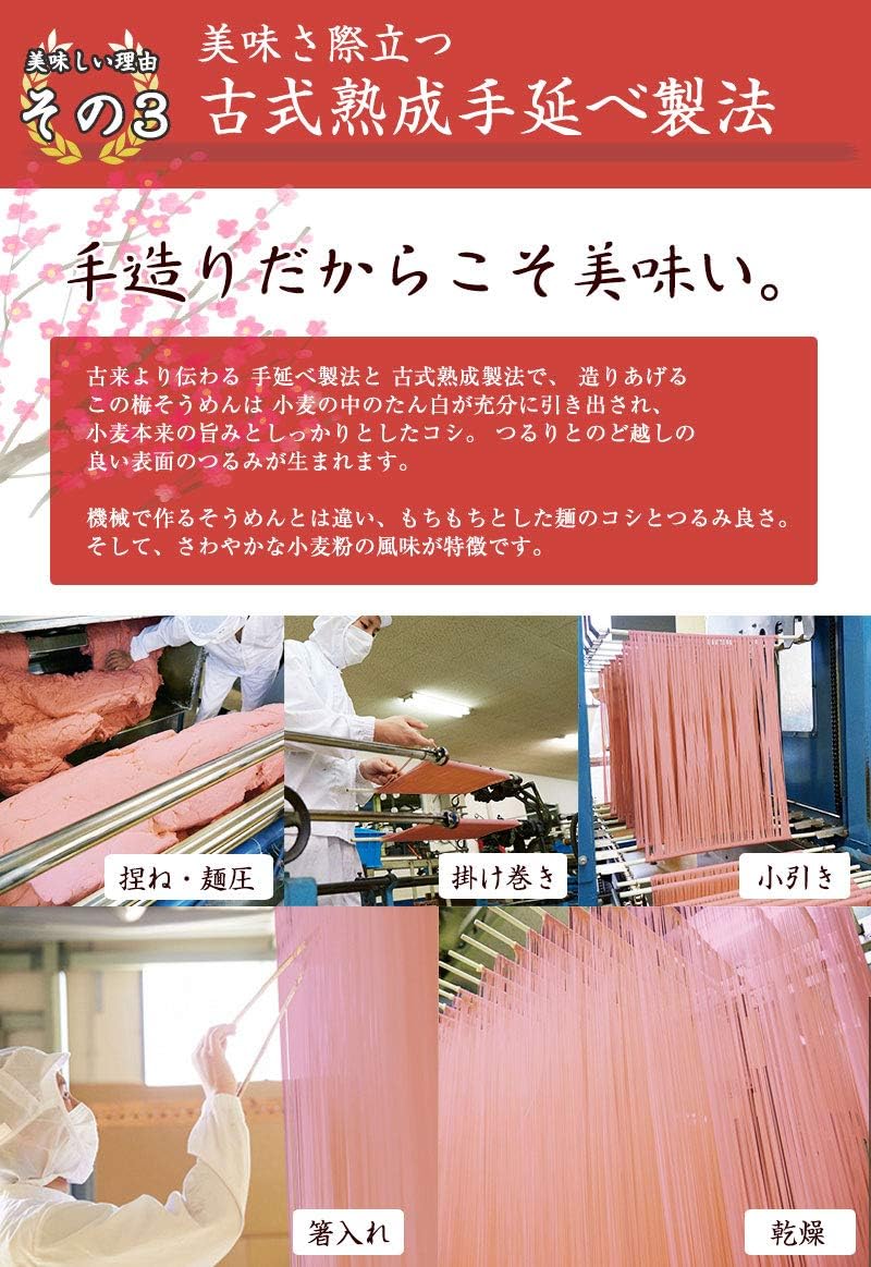 日本直送 Fumiko農園 手延紀州梅素麵 500g(250g×2袋)