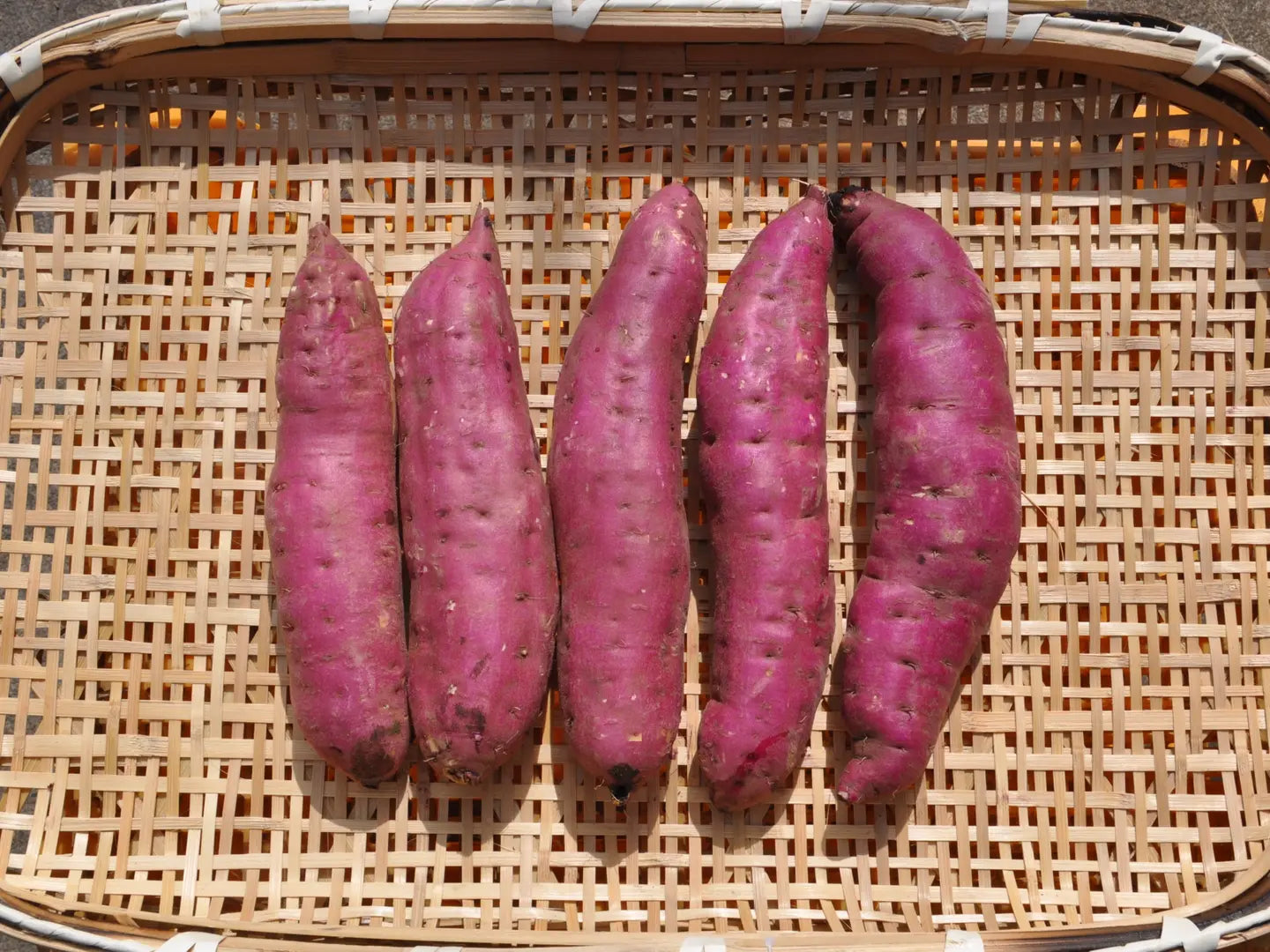 日本🇯🇵豐洲直送 日本茨城 急凍紅薯 (0.5 kg )