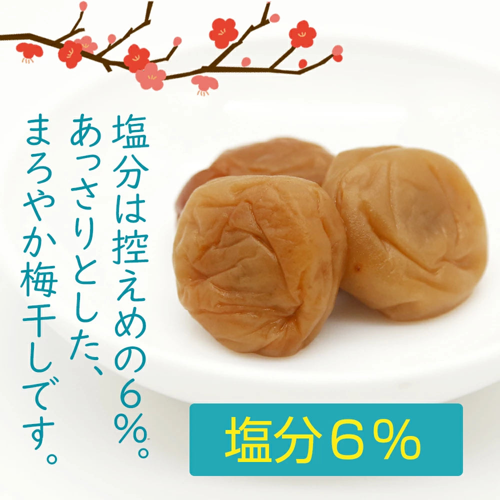 日本直送 🌟 日本 紀州南高梅 人氣梅子三重奏