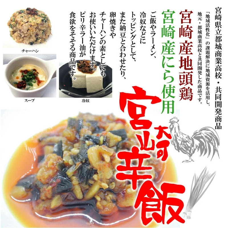 日本直送 🌶️ 宮崎雞肉辛飯辣椒醬 120g 🍚🔥