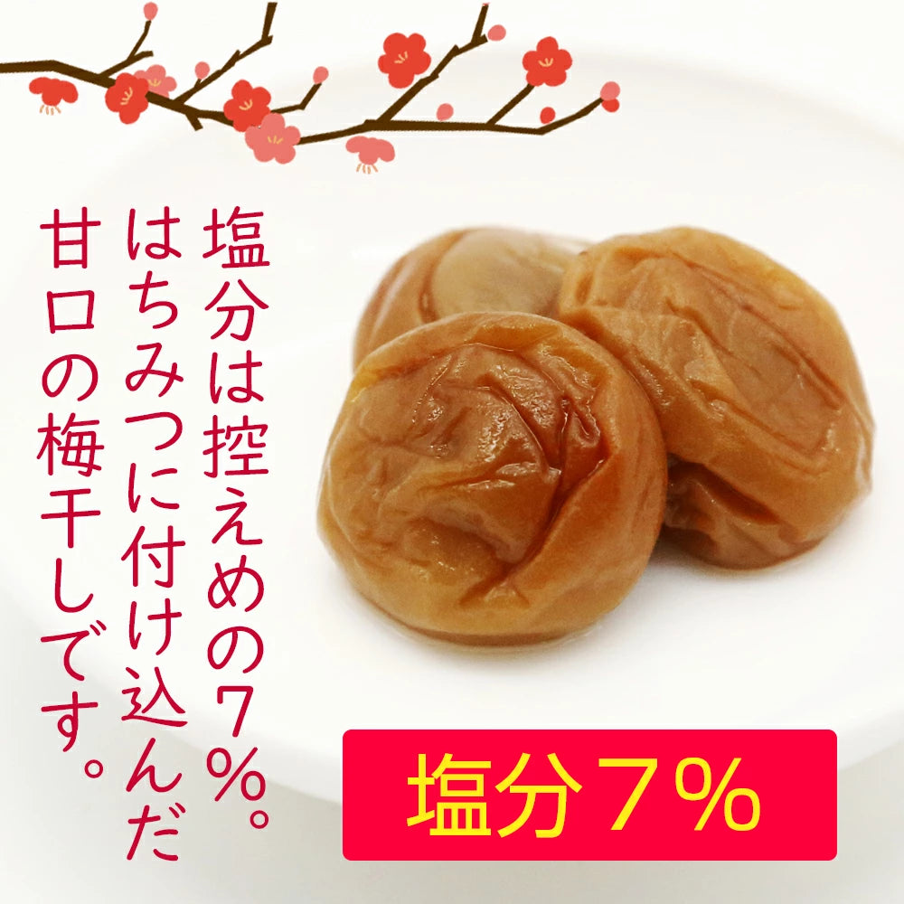 日本直送 🌟 日本 紀州南高梅 人氣梅子三重奏