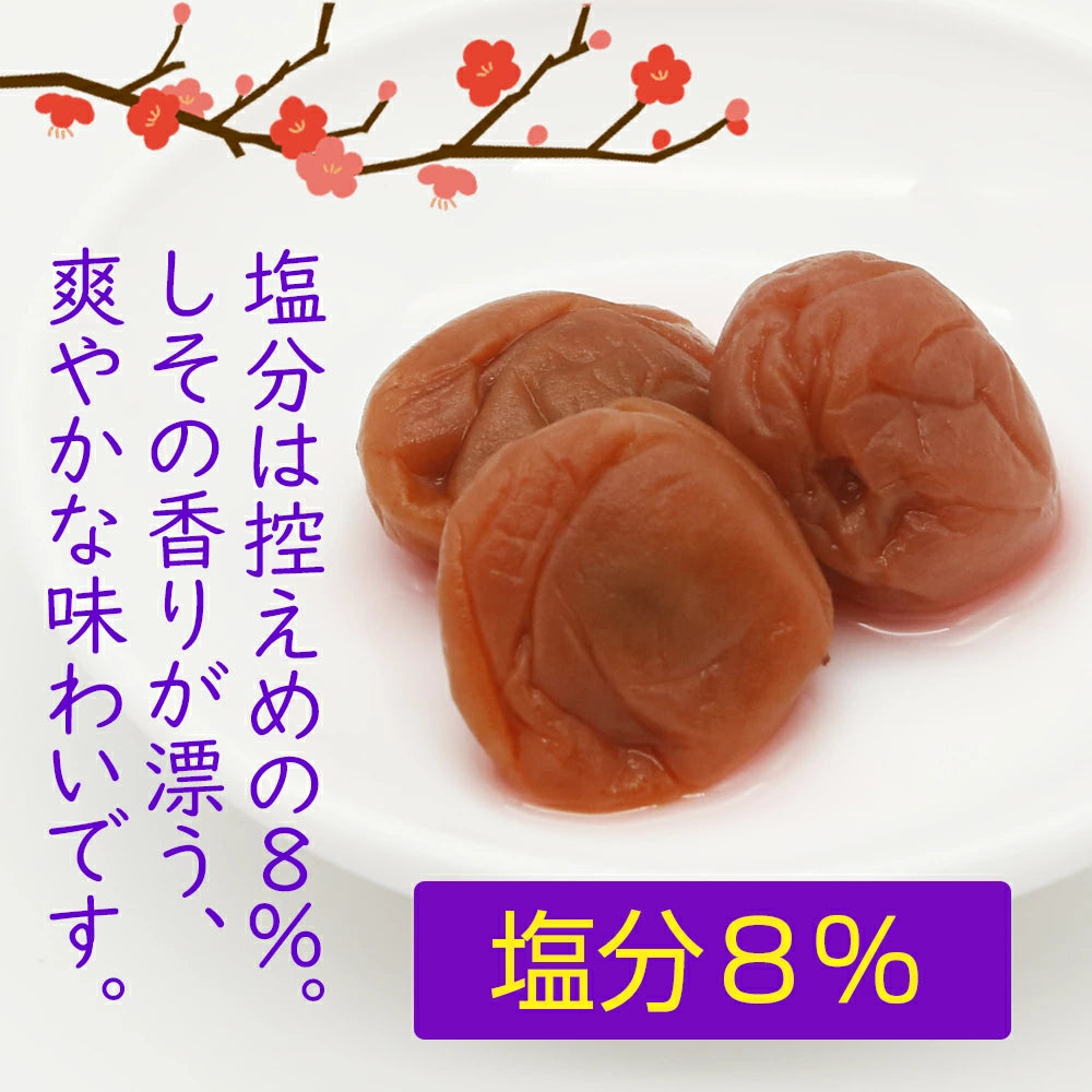 日本直送 🌟 日本 紀州南高梅 人氣梅子三重奏