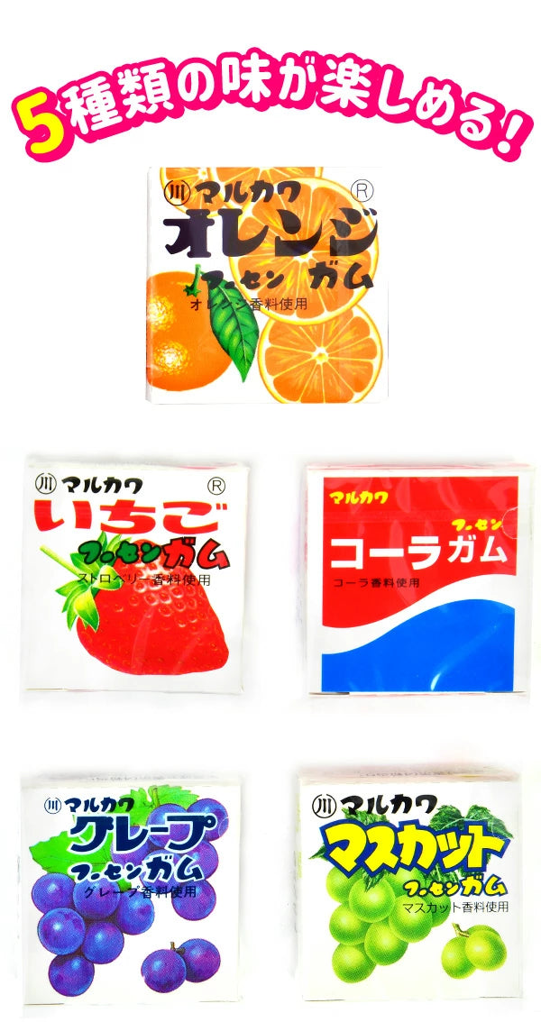 日本直送 Marukawa 5種口味水果口香糖 ( 50盒)