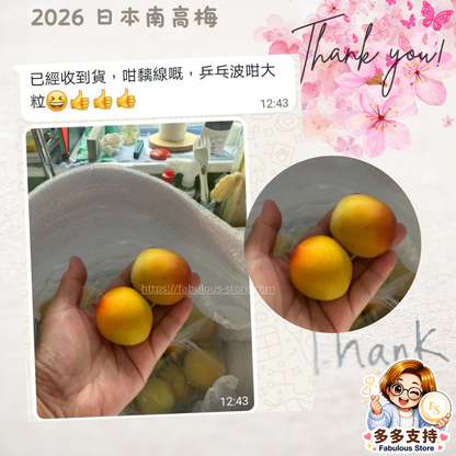 Japan JA Kinan Aka-Shu Ripe Nanko Ume Plums 3L (1kg) 