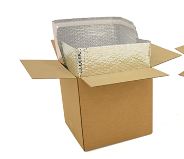 Cold Shipping Box for Frozen Food