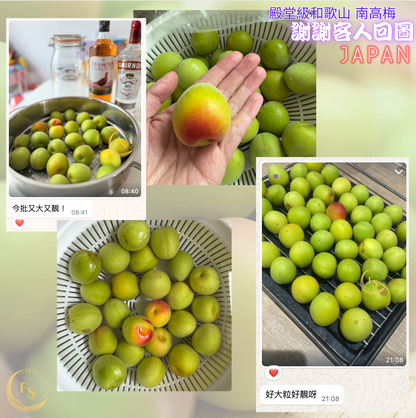 Japan JA Kinan Aka-Shu Ripe Nanko Ume Plums 3L (1kg) 