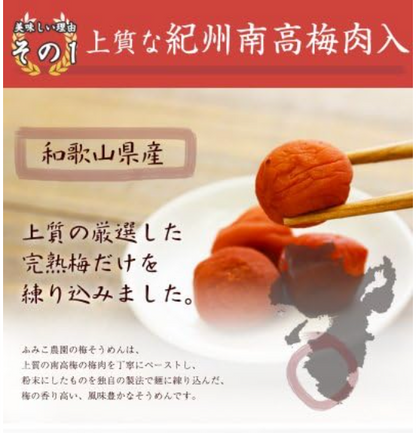 日本直送 Fumiko農園 手延紀州梅素麵 500g（250g×2袋）
