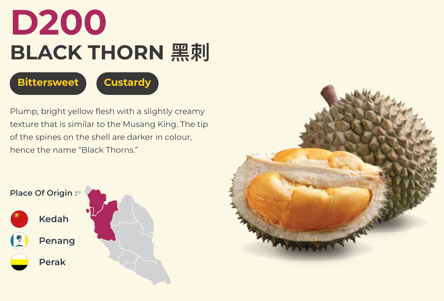 Malaysia DKing State Banquet Grade Durian Omakase Frozen Pulp (8 Boxes) - Limited Time Offer
