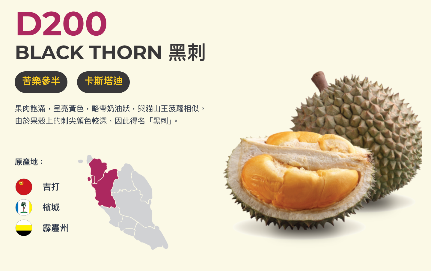 Malaysia DKing State Banquet Grade Durian Omakase Frozen Pulp (8 Boxes) - Limited Time Offer