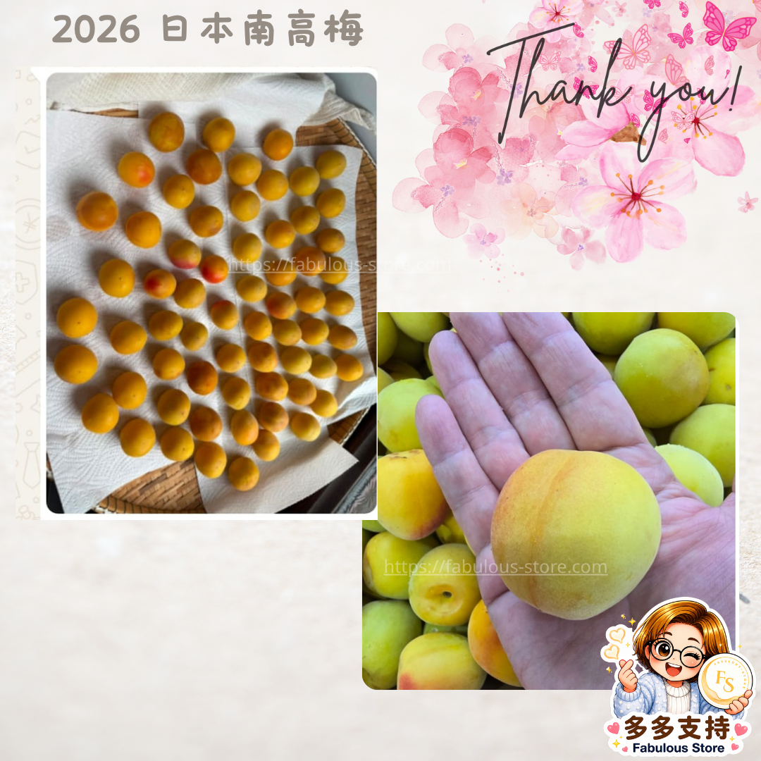 Japan JA Kinan Aka-Shu Ripe Nanko Ume Plums 3L (1kg) 