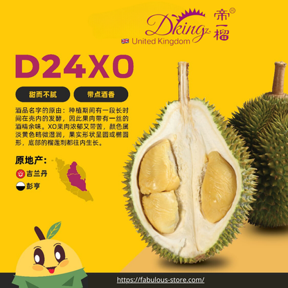 馬來西亞 DKing 國宴級  D24XO  蘇丹王 冷凍榴槤果肉 ( 400g )