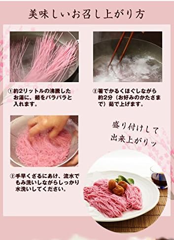 日本直送 Fumiko農園 手延紀州梅素麵 500g（250g×2袋）