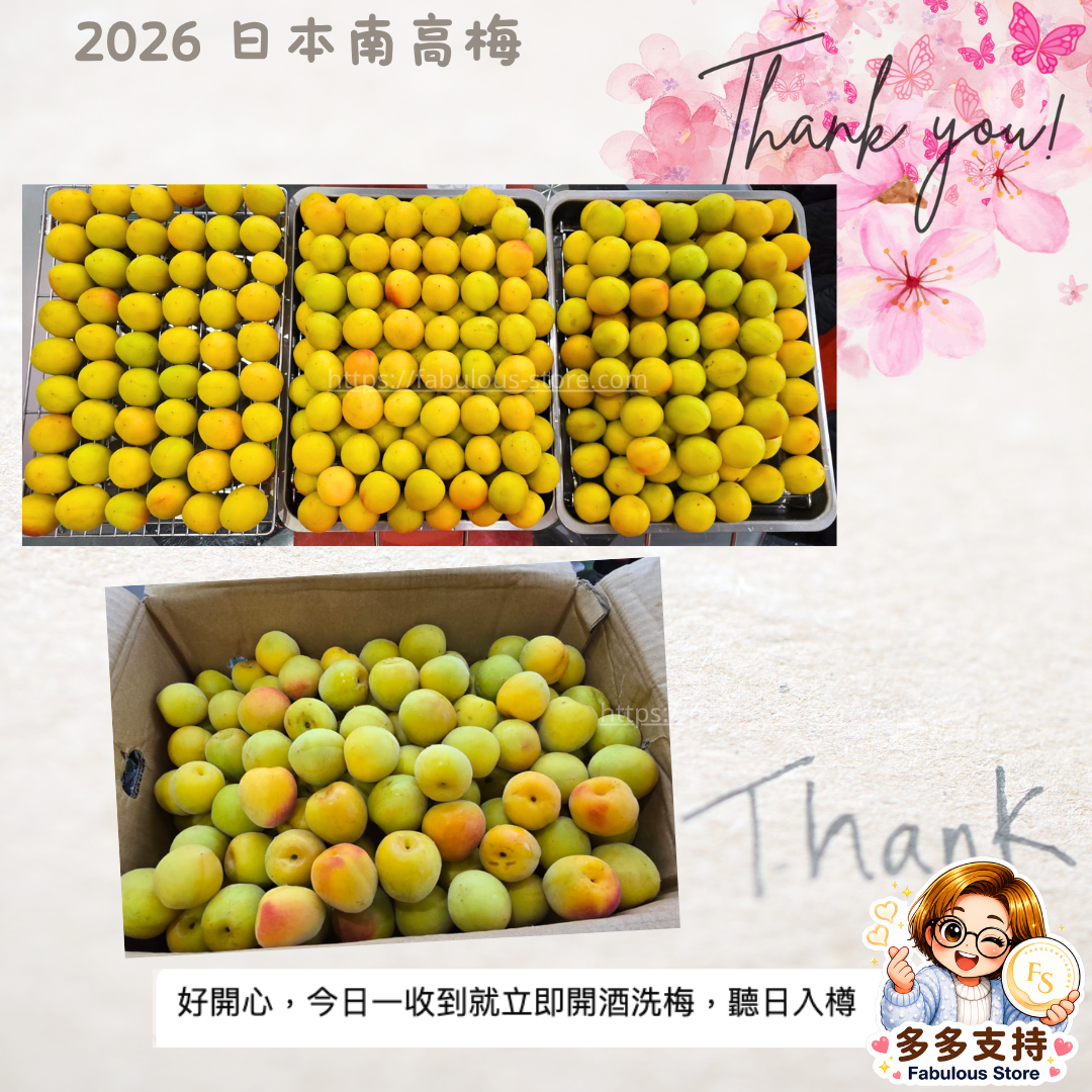 Japan JA Kinan Aka-Shu Ripe Nanko Ume Plums 3L (1kg) 