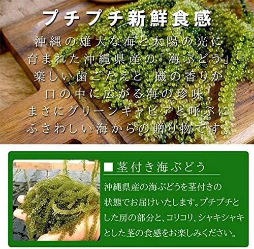 日本直送  沖繩特產｜海葡萄 🍇 綠色魚子醬 60g