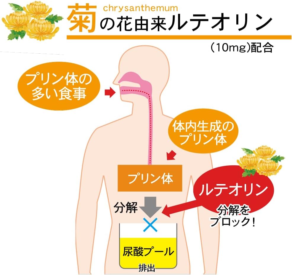 日本直送   伊右衛門 尿酸值機能綠茶 抹茶 （ 30入 ）