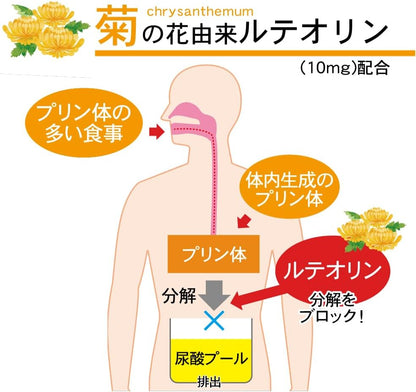 日本直送   伊右衛門 尿酸值機能綠茶 抹茶 （ 30入 ）