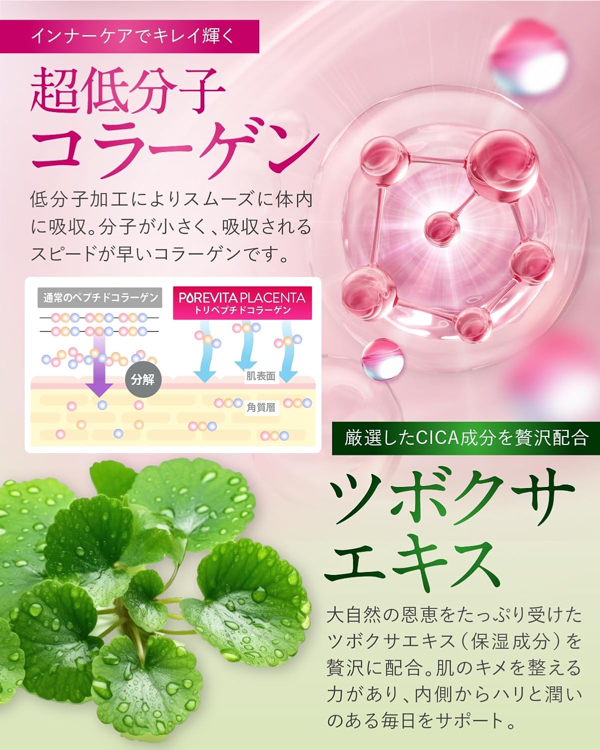 日本直送 PoreVita Placenta 10000 膠原蛋白＋胎盤素＋CICA 美肌膠囊（30日份／60粒）